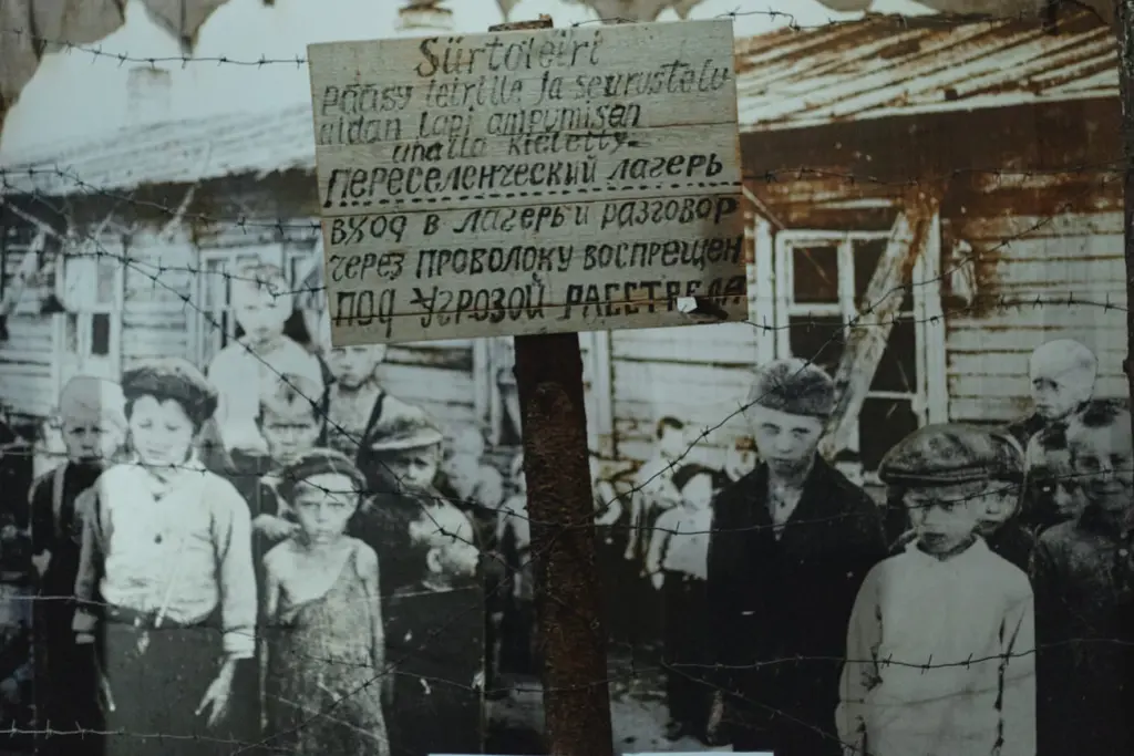 Photo: Liza Zhakova for the New Tab