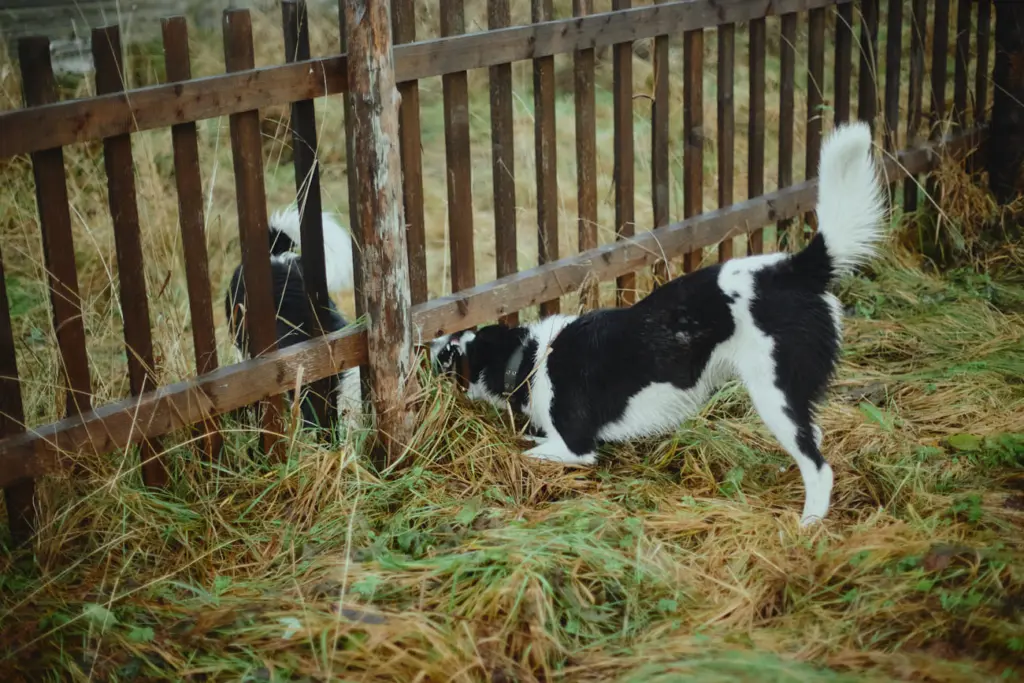 Photo: Liza Zhakova for the New Tab