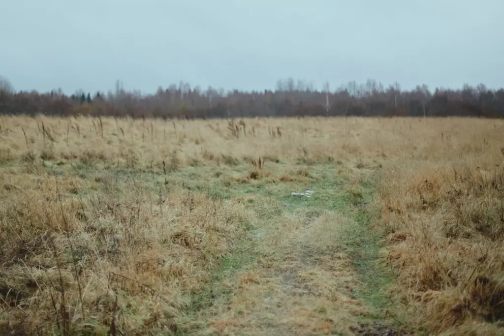 Photo: Liza Zhakova for the New Tab