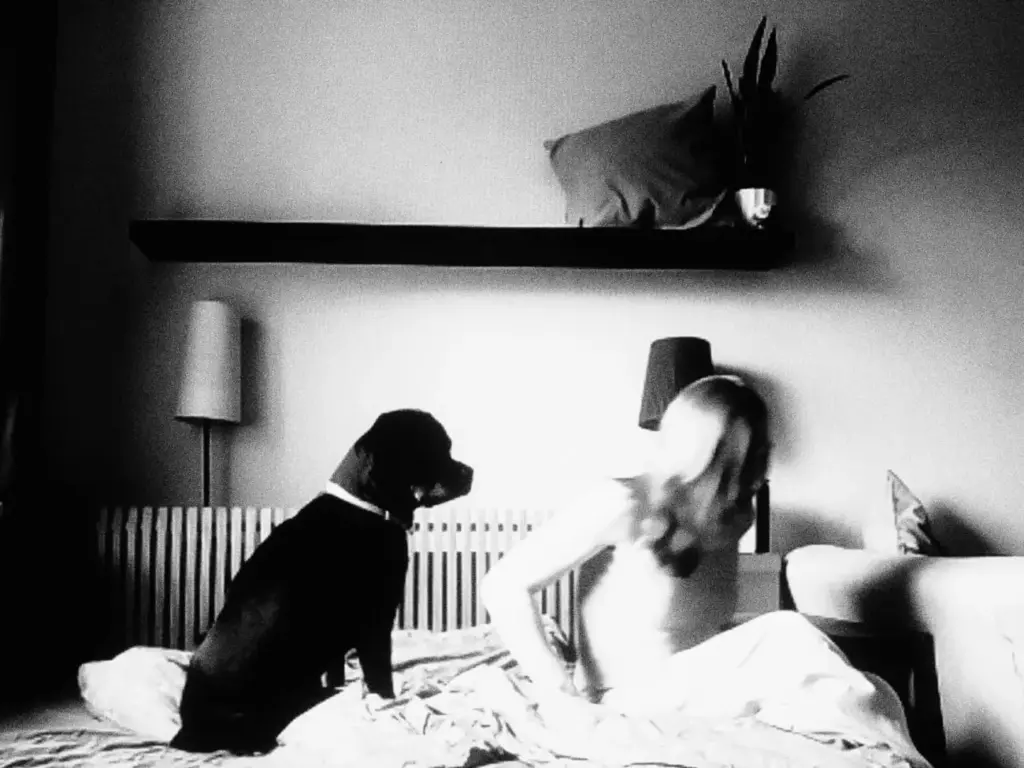 Photo: Zoya Smyshlyaeva for the New Tab