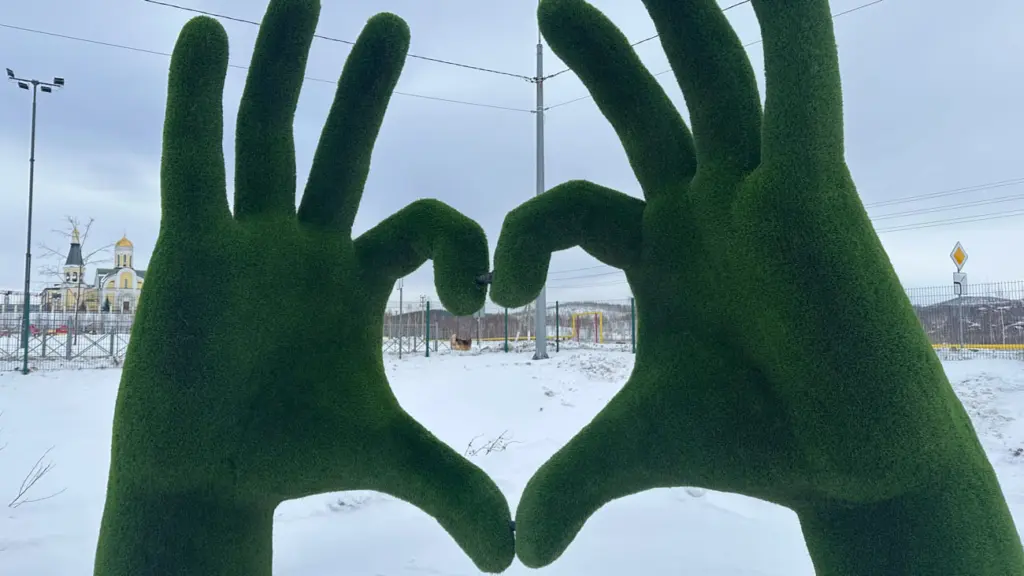 Photo: Lesya Sarnavskaya