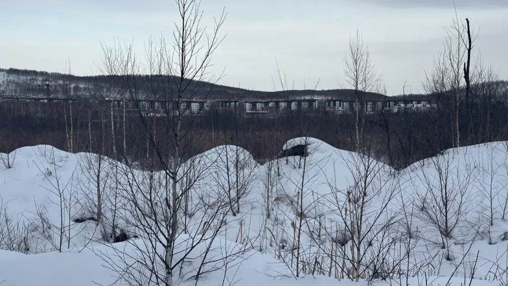 Photo: Lesya Sarnavskaya